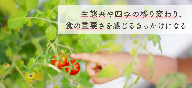 野菜を育てる