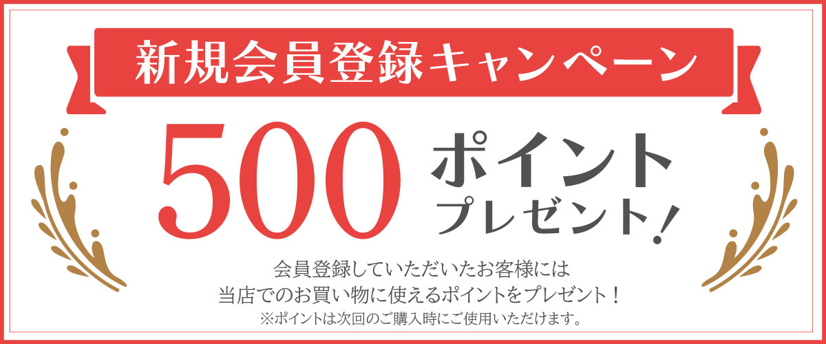 会員登録で500ポイントプレゼント！